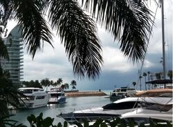 Marina Collection (D4), Condominium #636845491